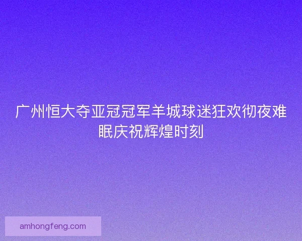 广州恒大夺亚冠冠军羊城球迷狂欢彻夜难眠庆祝辉煌时刻